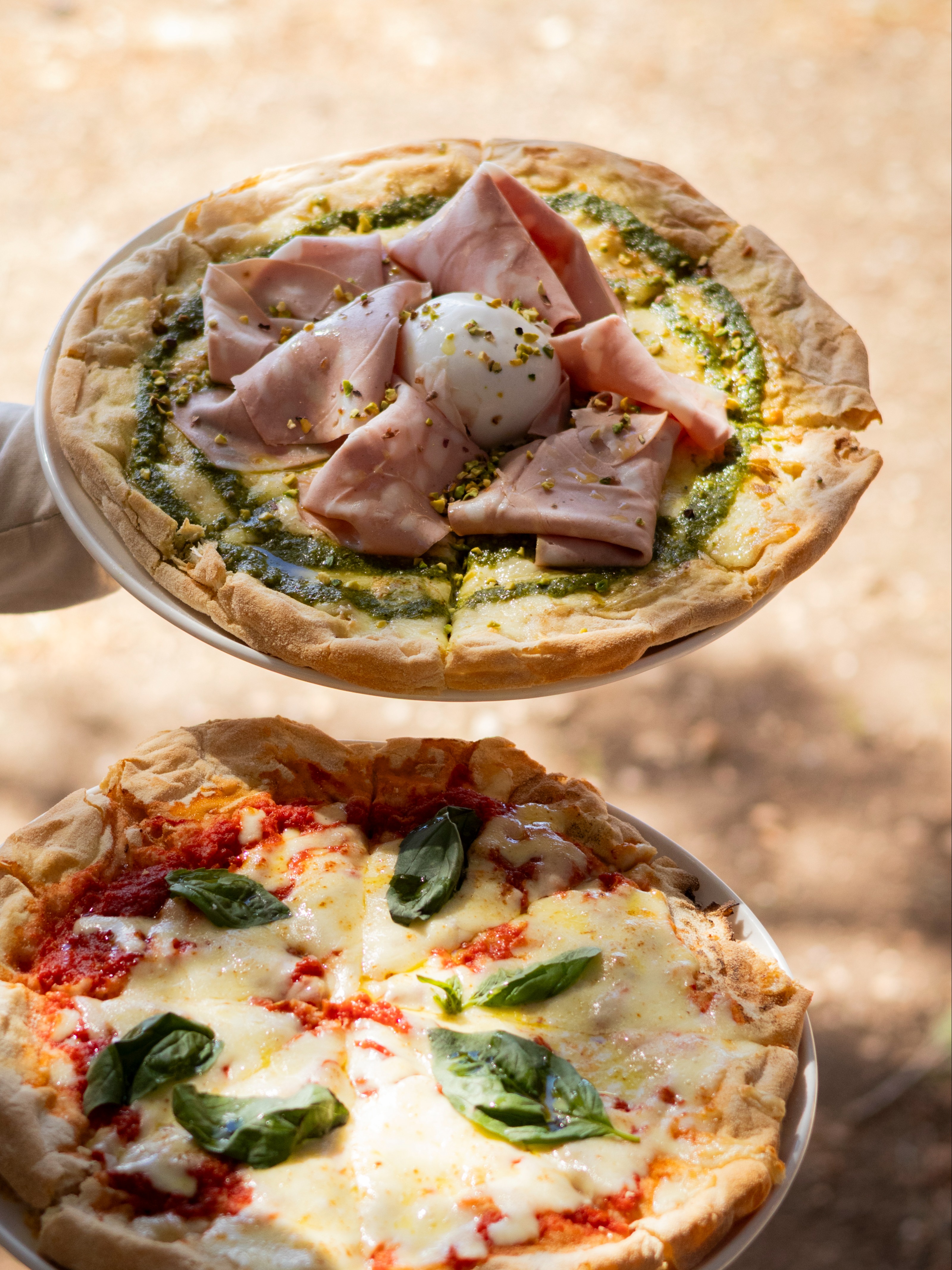 Plato destacado de Bosque